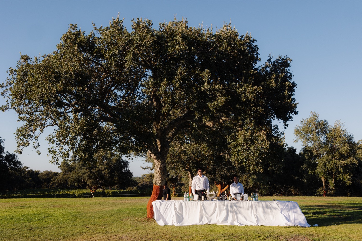 Wed-Portugal_alissabeer_70